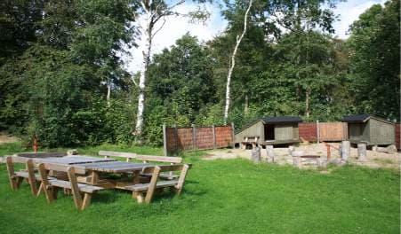 Brønden Nature Camp