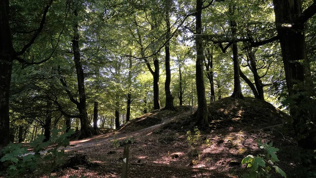 Climb the mountain range Jyske Ås
