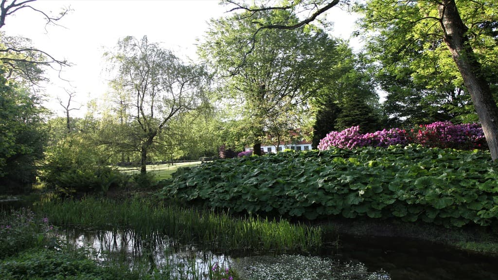 Ellegaard – Ancient Road Hostel