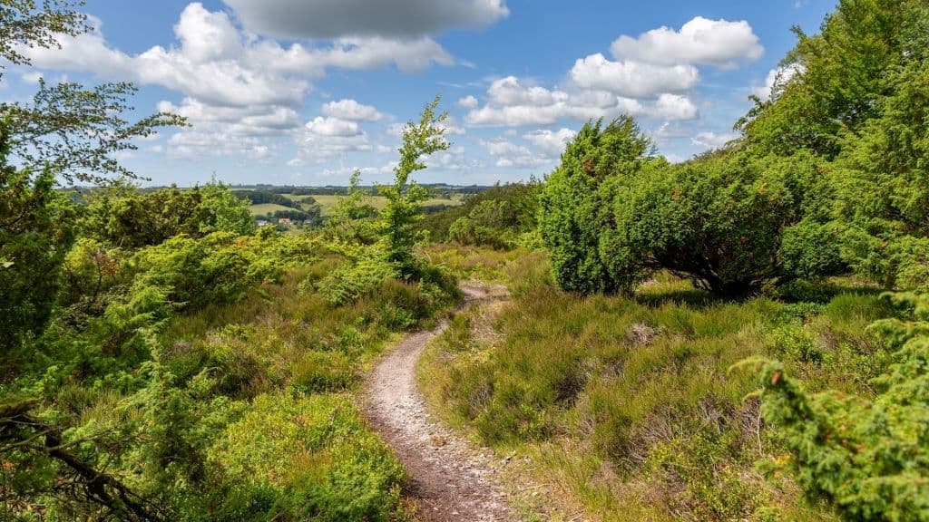 Rebild Bakker National Park