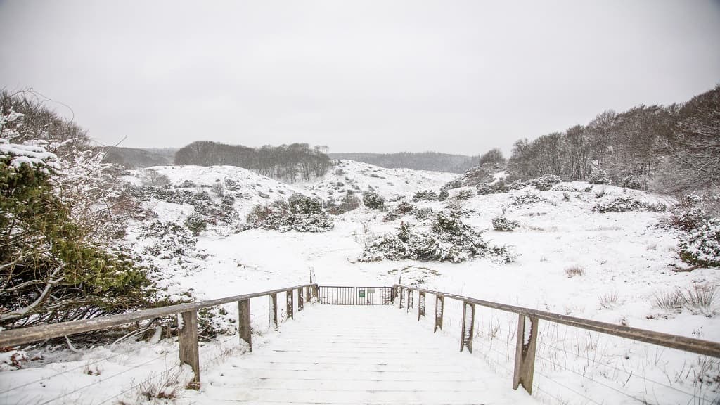 Rebild Bakker National Park