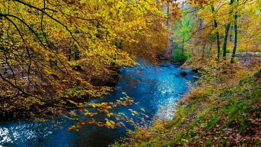 Sæby Å - Sæby Stream