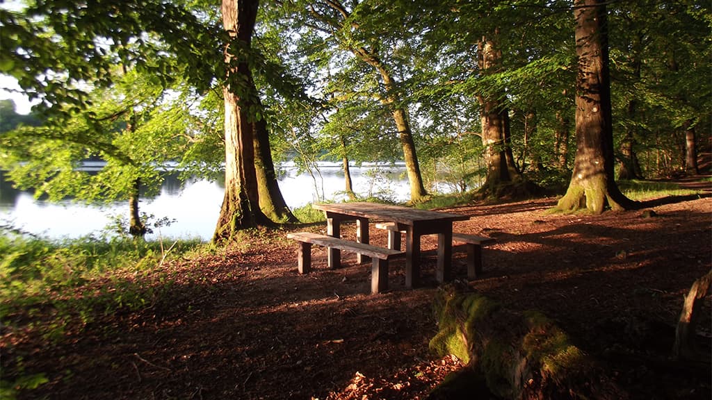 Evening atmosphere at the Lakes of Jels
