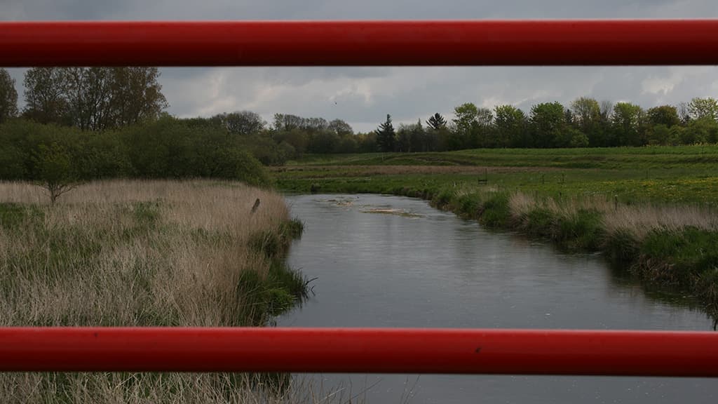 Freedom Bridge - Kongeåen