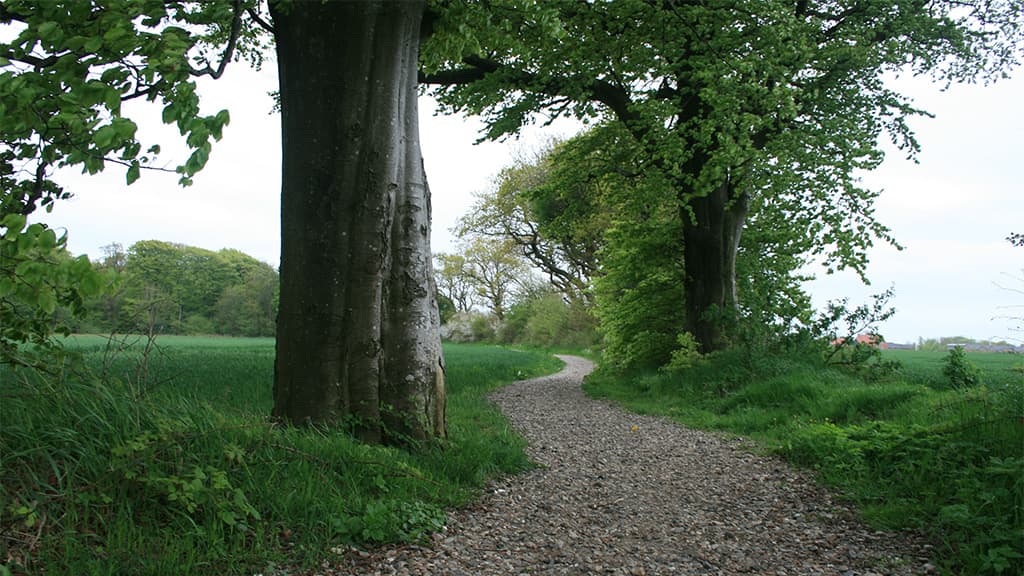 Skeldiger mellem Askov og Vejen