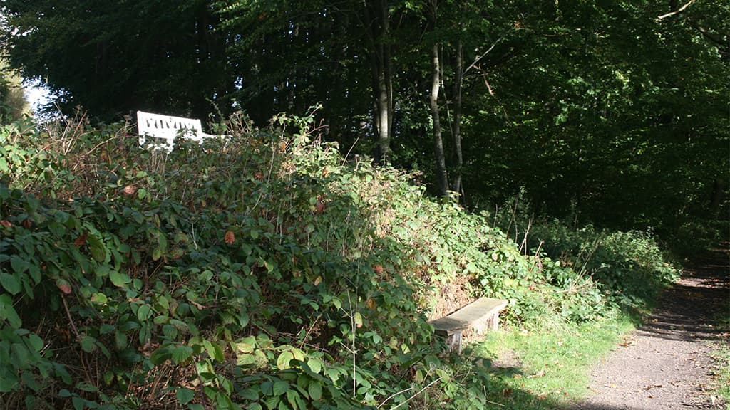 Den Hvide Bænk ved Jels