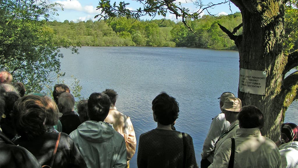 Vingsted Sø a group of people looking beyond