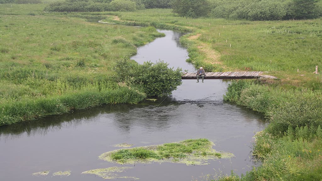 Canoeing on Simested Creek