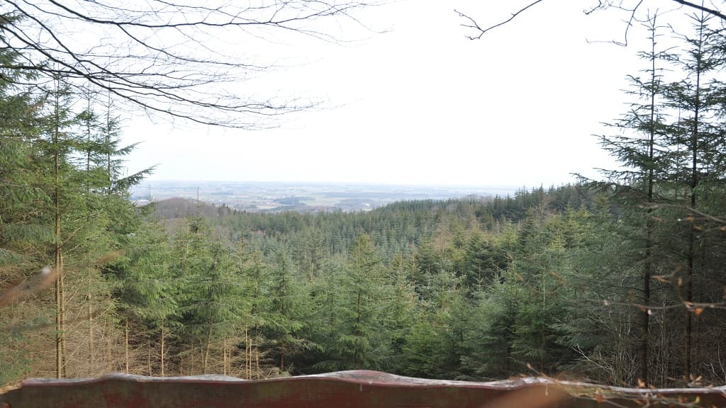 Dronninglund Forest and Sømosen