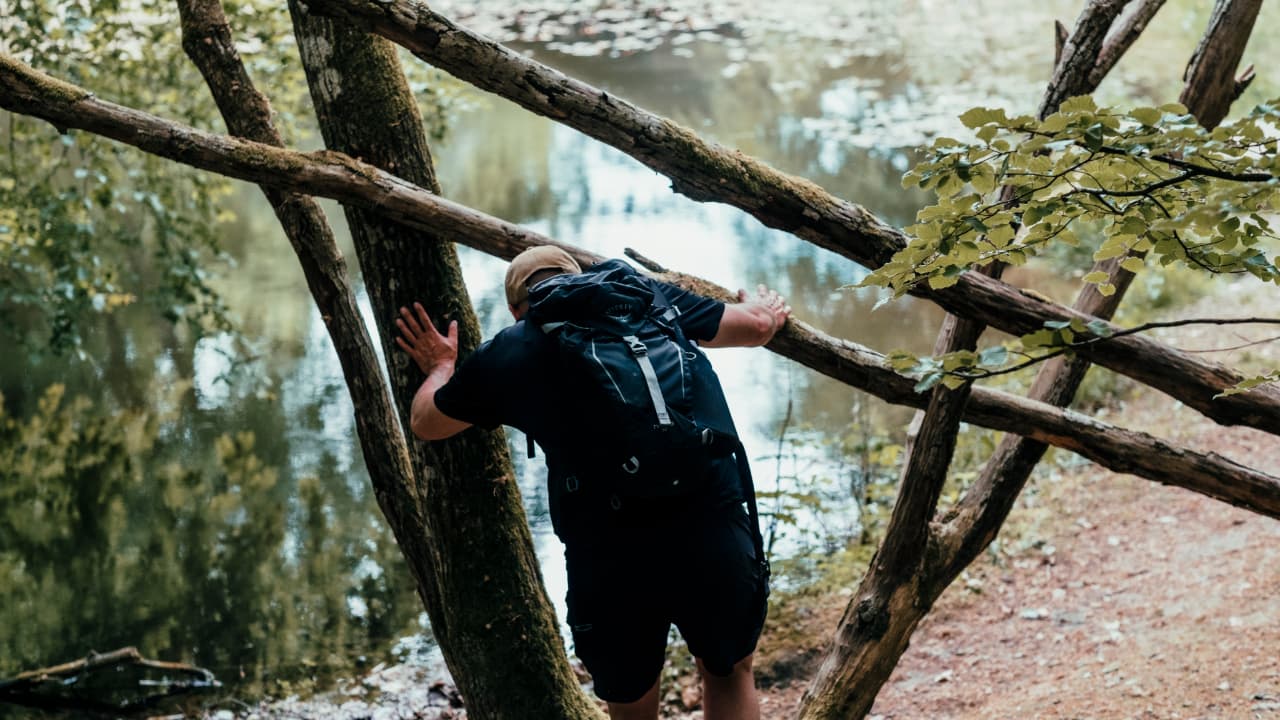 Walk in Dronninglund Storskov