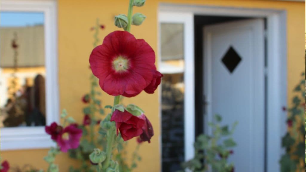 Lønstrup Strandhotel