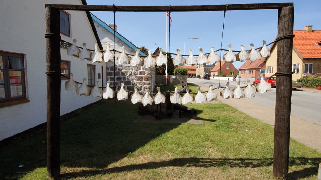 Hirtshals Museum (regional museum)