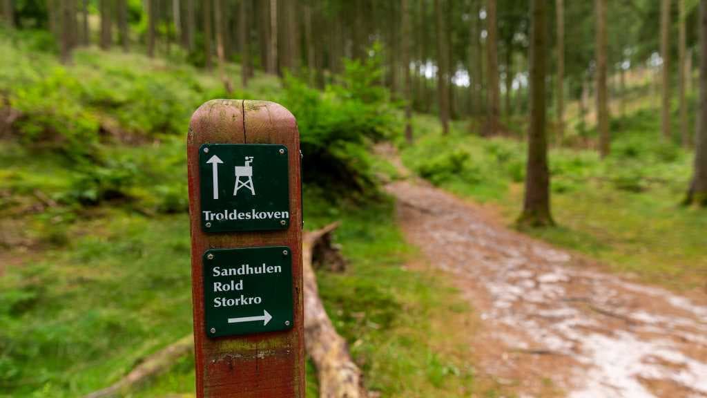 Troldeskoven | The Troll Forest