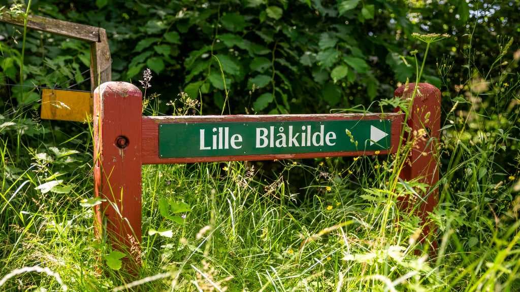 Lille Blåkilde