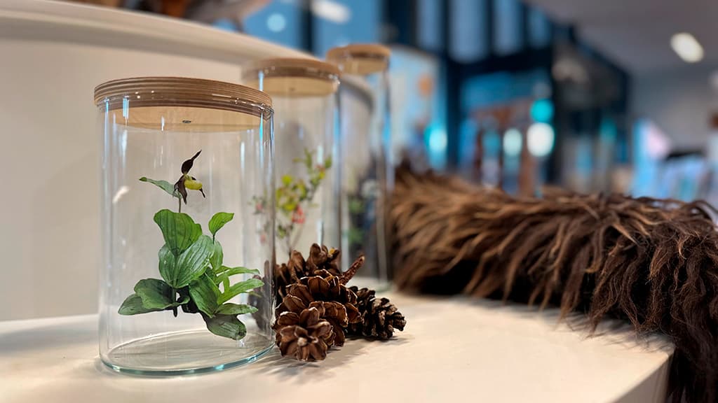 Rebildporten blomster og planter