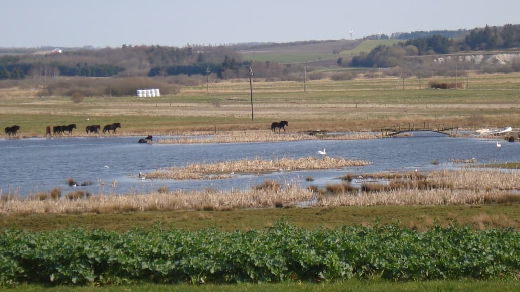 Enggaard Bed & Breakfast