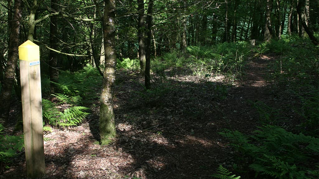 Emplacement in Dover