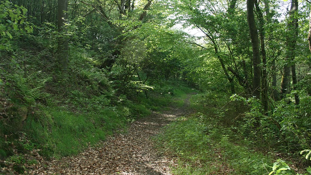 Emplacement in Dover