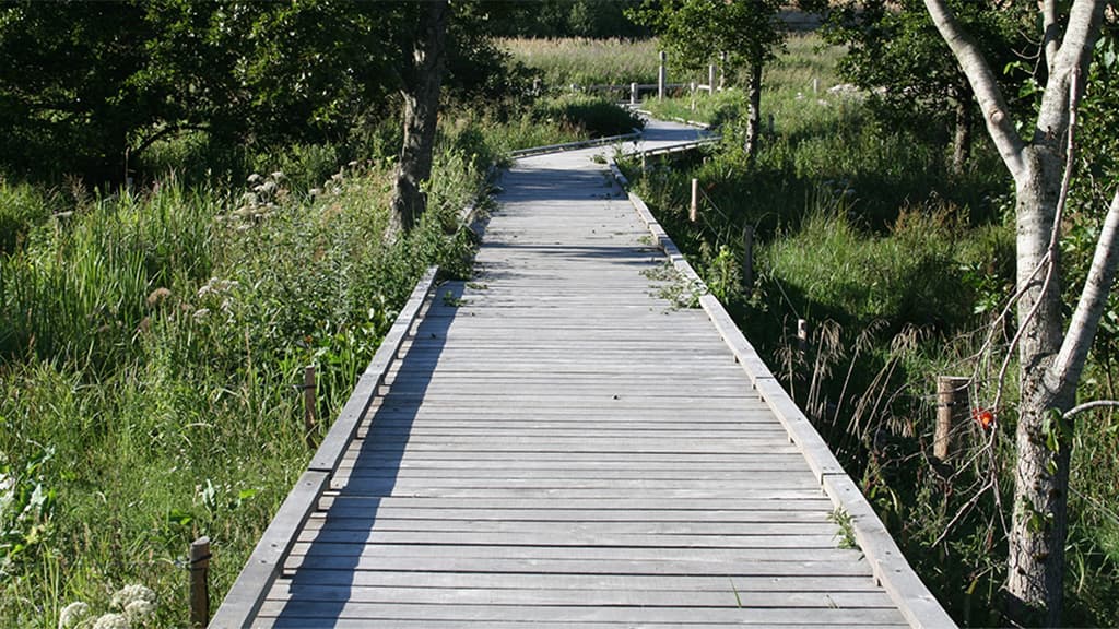 Disabeld-friendly fishing place