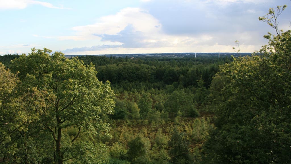 View from Fru Mettes Bjerg