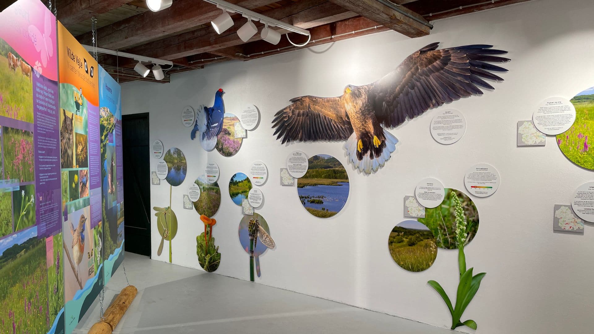 Haraldskær Visitor Centre – Vejle Ådal and Inlet