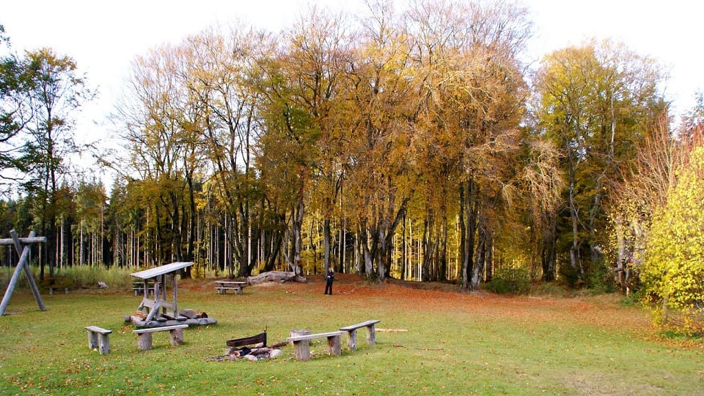 Stabelpladsen in Arden