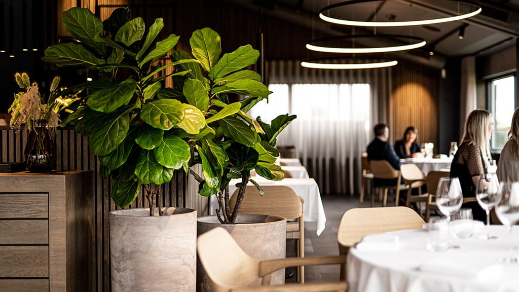 Restaurant HimmerRiget in HimmerLand