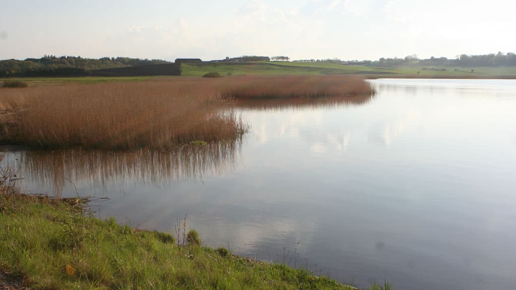 Skals Stream near Viborg
