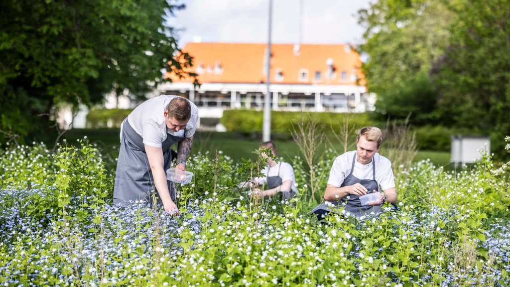Scheelsminde, Restaurant Bühlmann