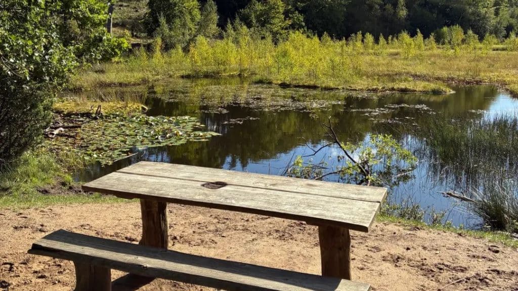 Hammer Bakker - The pearl of the Hærvejen