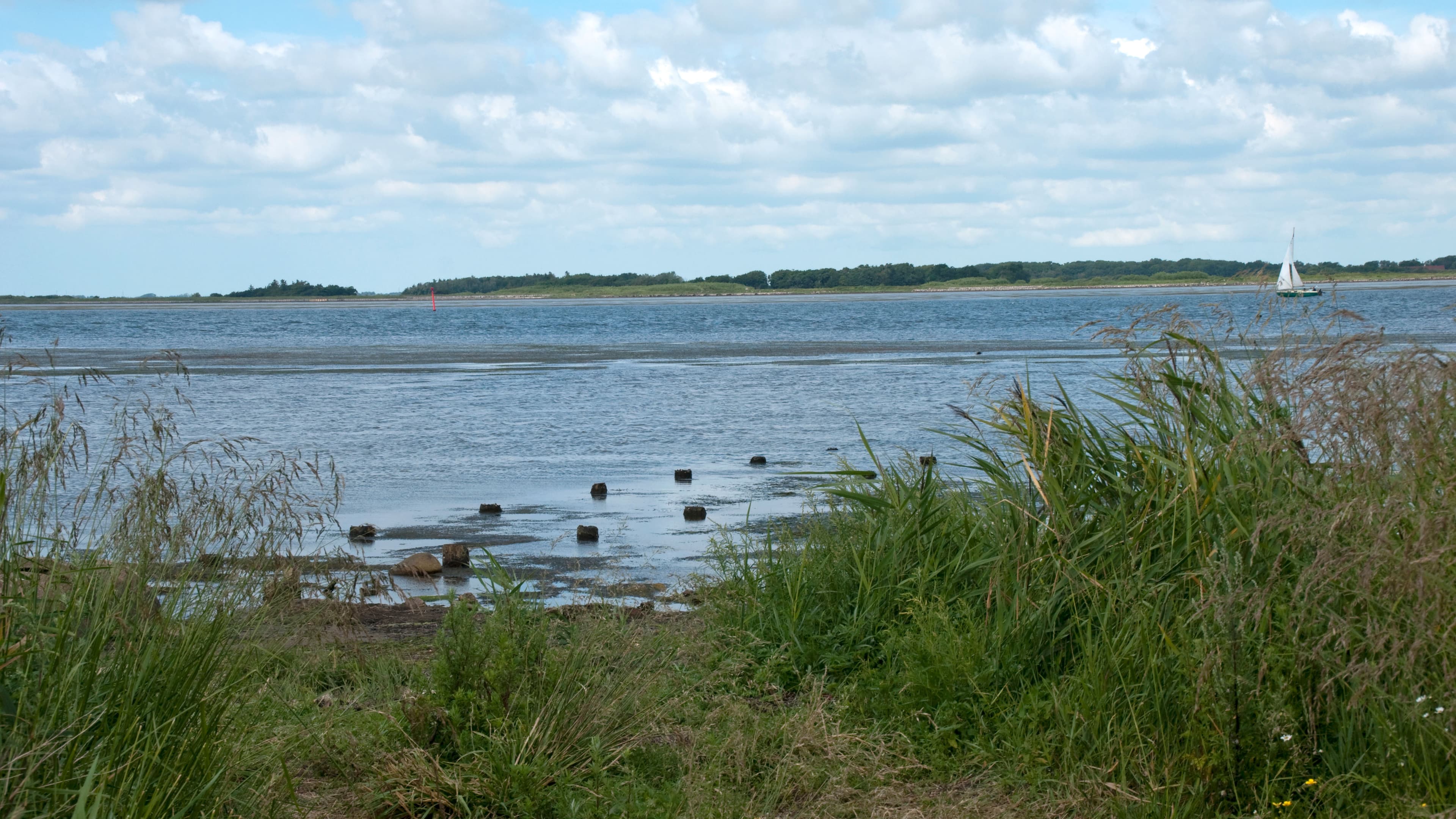 Hasseris forest - Camp site