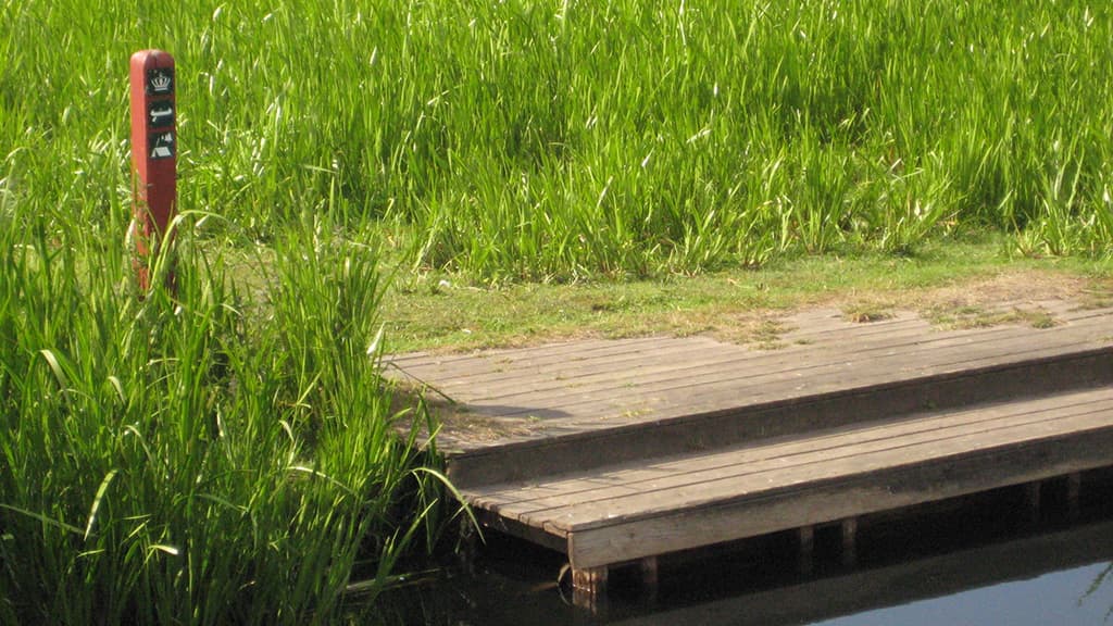 Halkær Å Camping Site