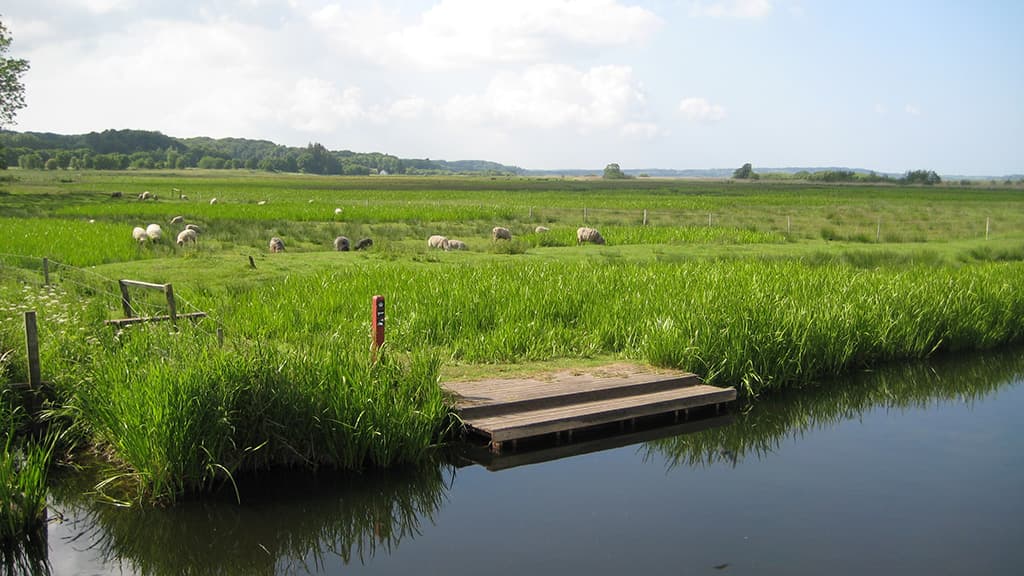 Halkær Å Camping Site