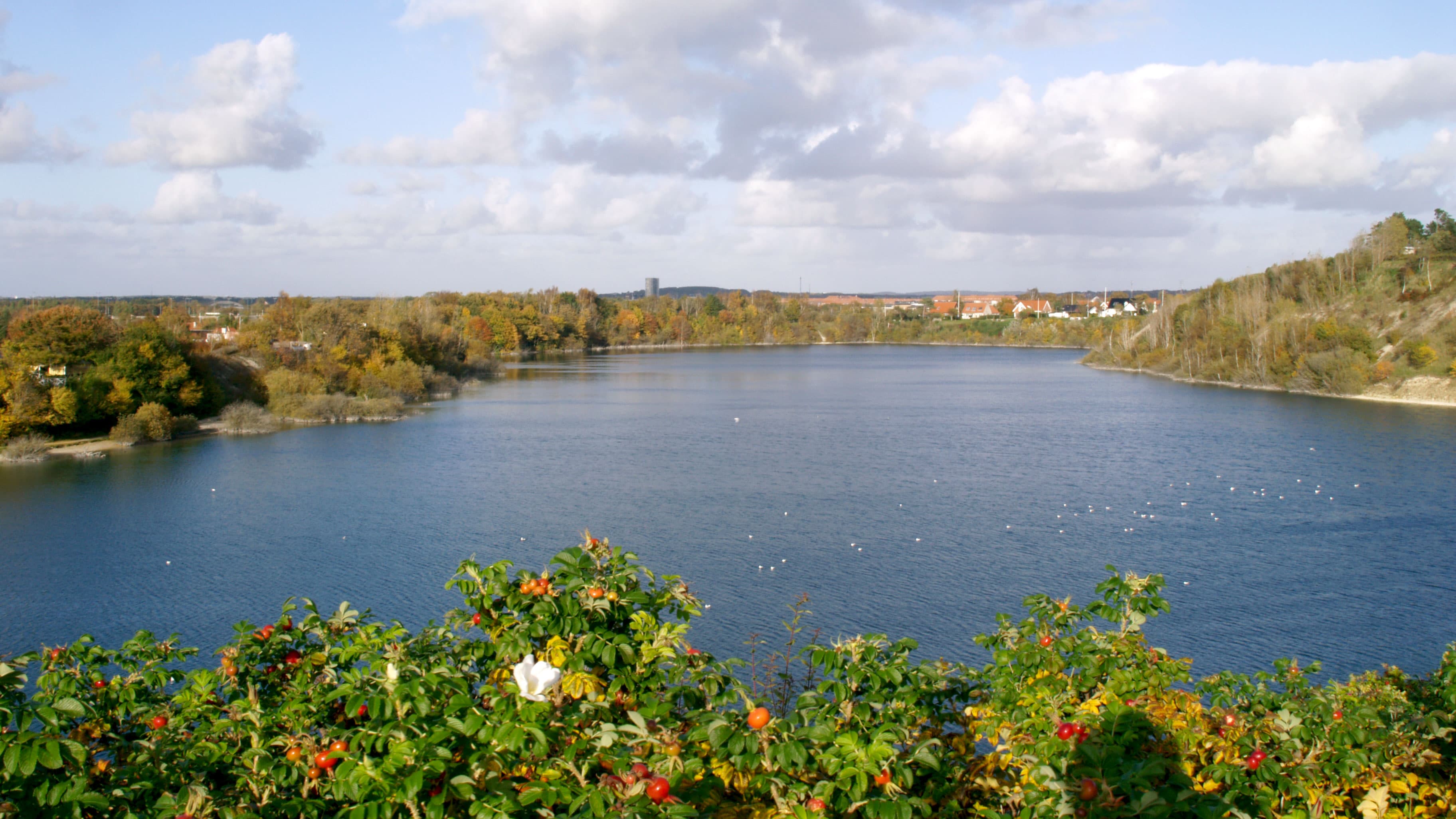 The Northern Chalk Pit