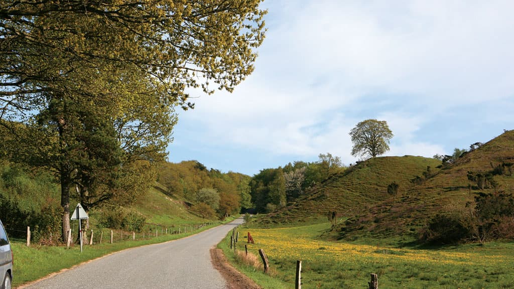 Hald and Dollerup Hills