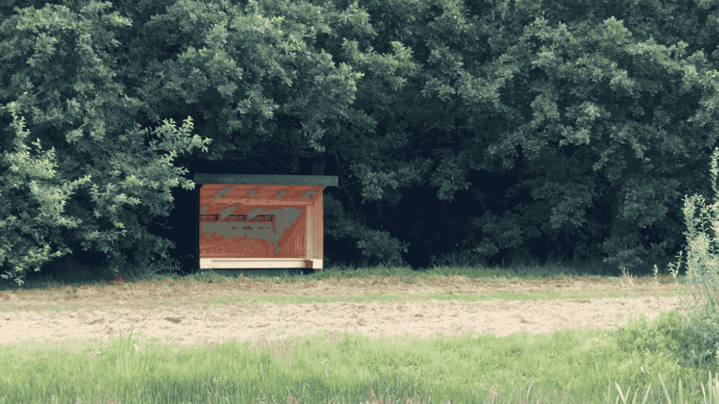 Small shelter site at the edge of the forrest